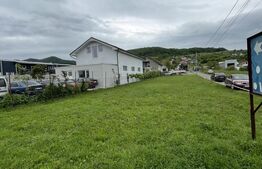 Teren de 11 ari la drumul principal în Viișoara – ideal pentru investiție