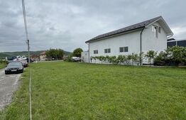 Teren de 11 ari la drumul principal în Viișoara – ideal pentru investiție