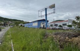 Teren de 11 ari la drumul principal în Viișoara – ideal pentru investiție