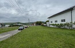 Teren de 11 ari la drumul principal în Viișoara – ideal pentru investiție