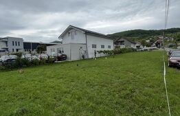 Teren de 11 ari la drumul principal în Viișoara – ideal pentru investiție