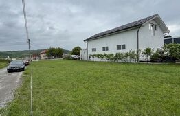 Teren de 11 ari la drumul principal în Viișoara – ideal pentru investiție