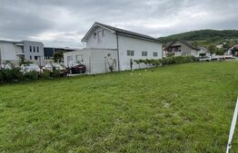 Teren de 11 ari la drumul principal în Viișoara – ideal pentru investiție