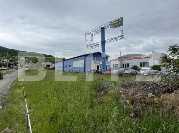 Teren de vânzare Viișoara - 173617TV | BLITZ Bistriţa | Poza9