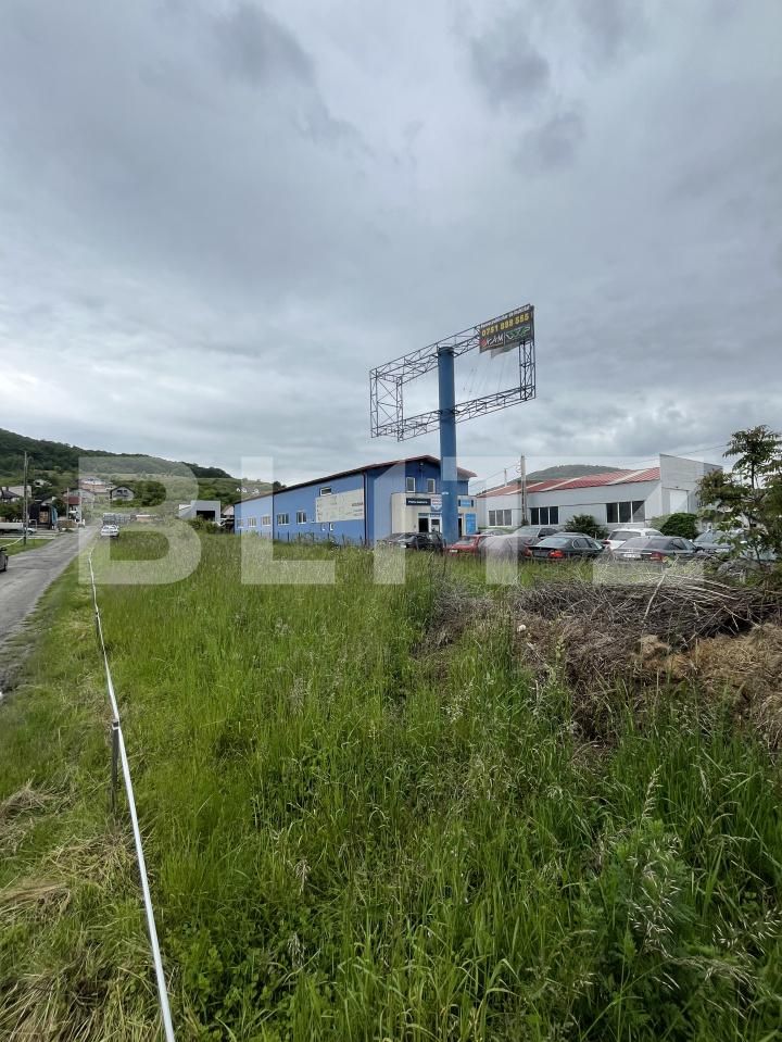 Teren de vânzare Viișoara - 173617TV | BLITZ Bistriţa | Poza8