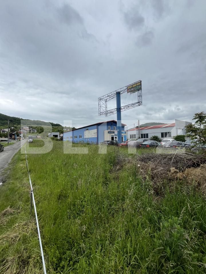 Teren de vânzare Viișoara - 173617TV | BLITZ Bistriţa | Poza9