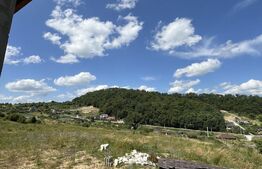 Casă cu panoramă deosebită pe Dealul Jelni – 10 ari de teren, stadiu semifinisat