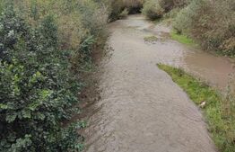 Teren extravilan de vanzare, 70 ari, utilitati, zona Simionesti