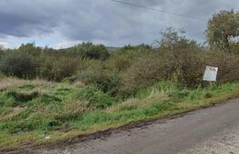 Teren extravilan de vanzare, 70 ari, utilitati, zona Simionesti