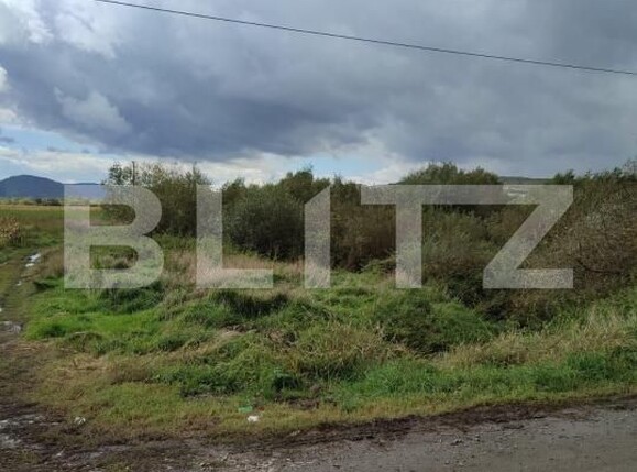 Teren de vânzare Exterior Sud - 173645TV | BLITZ Bistriţa | Poza1