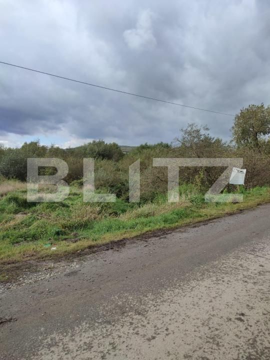 Teren de vânzare Exterior Sud - 173645TV | BLITZ Bistriţa | Poza2