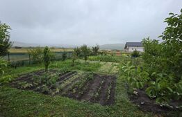 Teren 8 arii, intravilan, zona Jelna