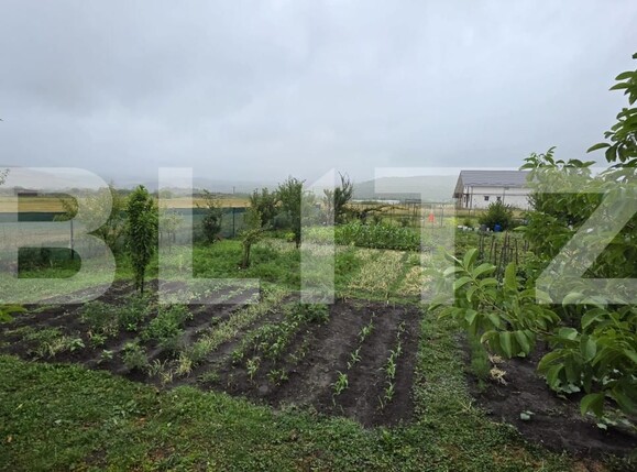 Teren de vânzare Est - 173686TV | BLITZ Bistriţa | Poza1