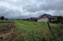 Teren intravilan 29 ari, Jelna, acces la asfalt