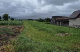 Teren intravilan 29 ari, Jelna, acces la asfalt