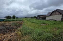 Teren intravilan 29 ari, Jelna, acces la asfalt