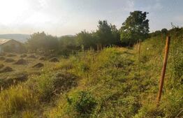 Teren intravilan de 15 ari – Valea Jelnei, str. Câmpului