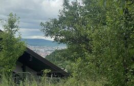 Teren intravilan de 15 ari – Valea Jelnei, str. Câmpului