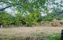 Teren intravilan de 15 ari – Valea Jelnei, str. Câmpului