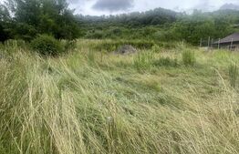 Teren intravilan de 15 ari – Valea Jelnei, str. Câmpului