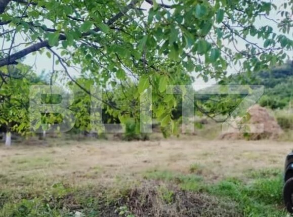 Teren de vânzare Ștefan cel Mare - 173794TV | BLITZ Bistriţa | Poza3