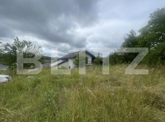 Teren de vânzare Ștefan cel Mare - 173794TV | BLITZ Bistriţa | Poza5