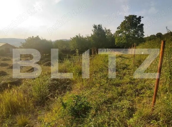 Teren de vânzare Ștefan cel Mare - 173794TV | BLITZ Bistriţa | Poza2