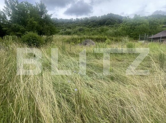 Teren de vânzare Ștefan cel Mare - 173794TV | BLITZ Bistriţa | Poza6