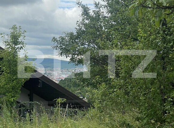 Teren de vânzare Ștefan cel Mare - 173794TV | BLITZ Bistriţa | Poza4