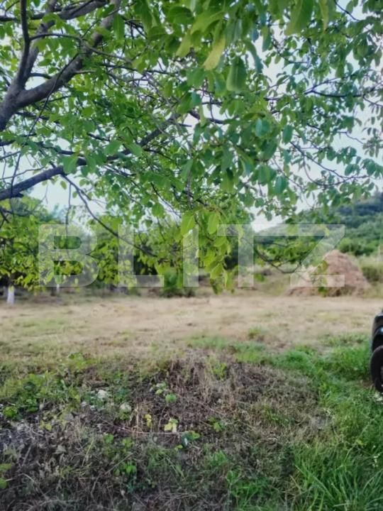 Teren de vânzare Ștefan cel Mare - 173794TV | BLITZ Bistriţa | Poza3