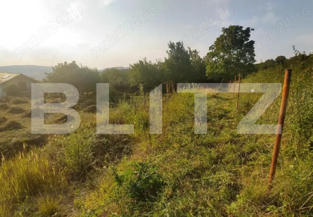 Teren de vânzare Ștefan cel Mare - 173794TV | BLITZ Bistriţa | Poza2