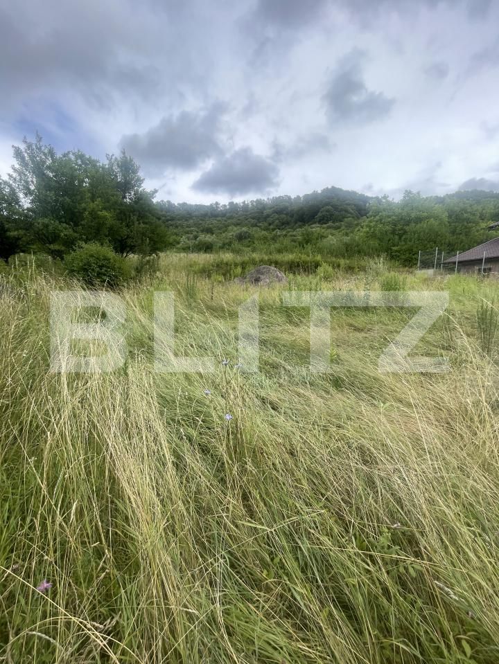 Teren de vânzare Ștefan cel Mare - 173794TV | BLITZ Bistriţa | Poza6