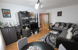 Apartament spațios, de vanzare, cu 4 camere, zona Han