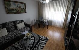 Apartament spațios, de vanzare, cu 4 camere, zona Han