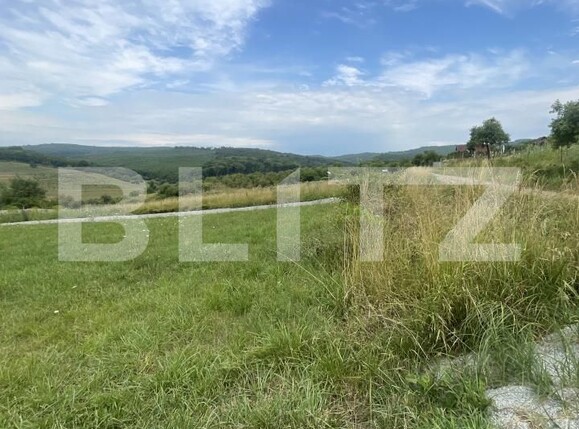 Teren de vânzare Est - 173913TV | BLITZ Bistriţa | Poza2