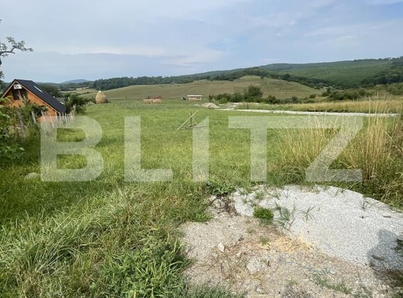 Teren de vânzare Est - 173913TV | BLITZ Bistriţa | Poza5