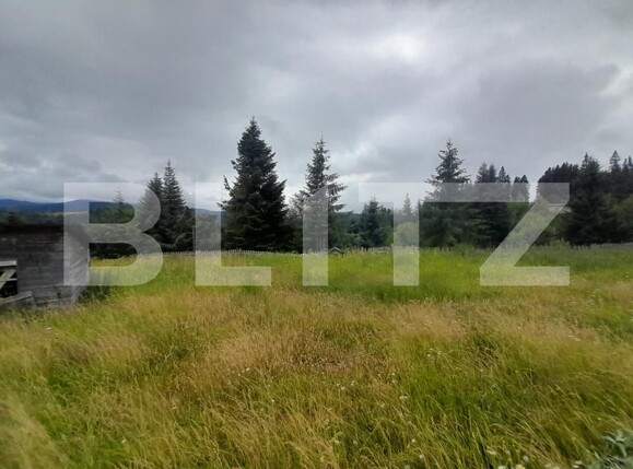 Casa de vânzare 5 camere Exterior Nord - 173927CV | BLITZ Bistriţa | Poza9