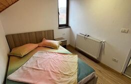 🏠Cabana de vis în Băile Figa – 6 dormitoare, 2 băi, living imens 