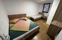 🏠Cabana de vis în Băile Figa – 6 dormitoare, 2 băi, living imens 