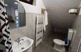 🏠Cabana de vis în Băile Figa – 6 dormitoare, 2 băi, living imens 