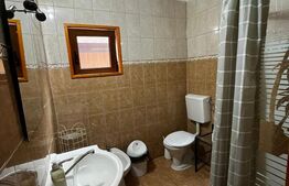 🏡 Cabana 3 dormitoare Baile Figa 