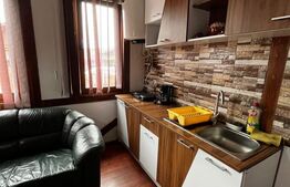🏡 Cabana 3 dormitoare Baile Figa 