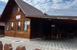 🏡 Cabana 3 dormitoare Baile Figa 