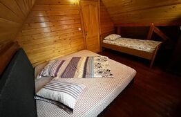 🏡 Cabana 3 dormitoare Baile Figa 