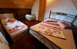 🏡 Cabana 3 dormitoare Baile Figa 