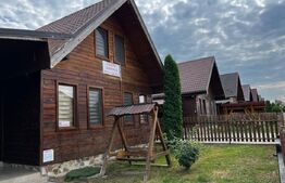 🏡Cabana de vanzare 5 camere Baile Figa 