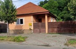 Casa de vanzare cu teren 350mp, zona Valea Budacului 
