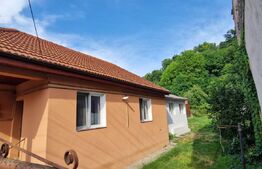 Casa de vanzare cu teren 350mp, zona Valea Budacului 