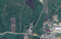 Teren extravilan, 4,7 ha ideal investitie panouri fotovoltaice, zona Jelna