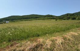 Teren Intravilan Zona Metaller Viisoara